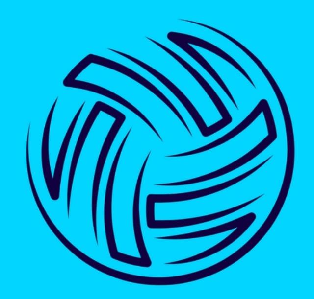 Top Liga SALS 2026 - I liga